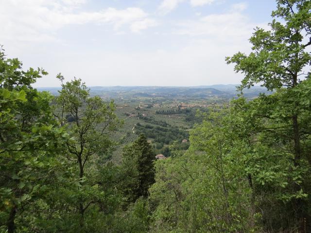 traumhafte Aussicht auf die Toskanische Ebene