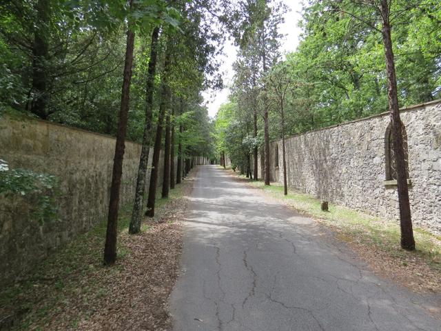 ...führt eine Stichstrasse in das Klostergelände...