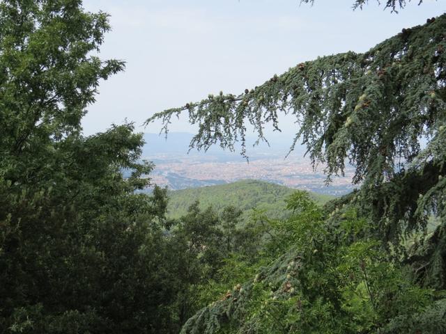 die unglaubliche Aussicht auf Florenz führte im zweiten Weltkrieg dazu, das dieser Hügel stark umkämpft war