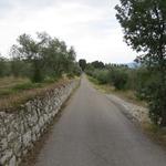 wir haben die Klostergemäuer hinter uns gelassen und laufen nun zu unserem Tagesziel Pontassieve