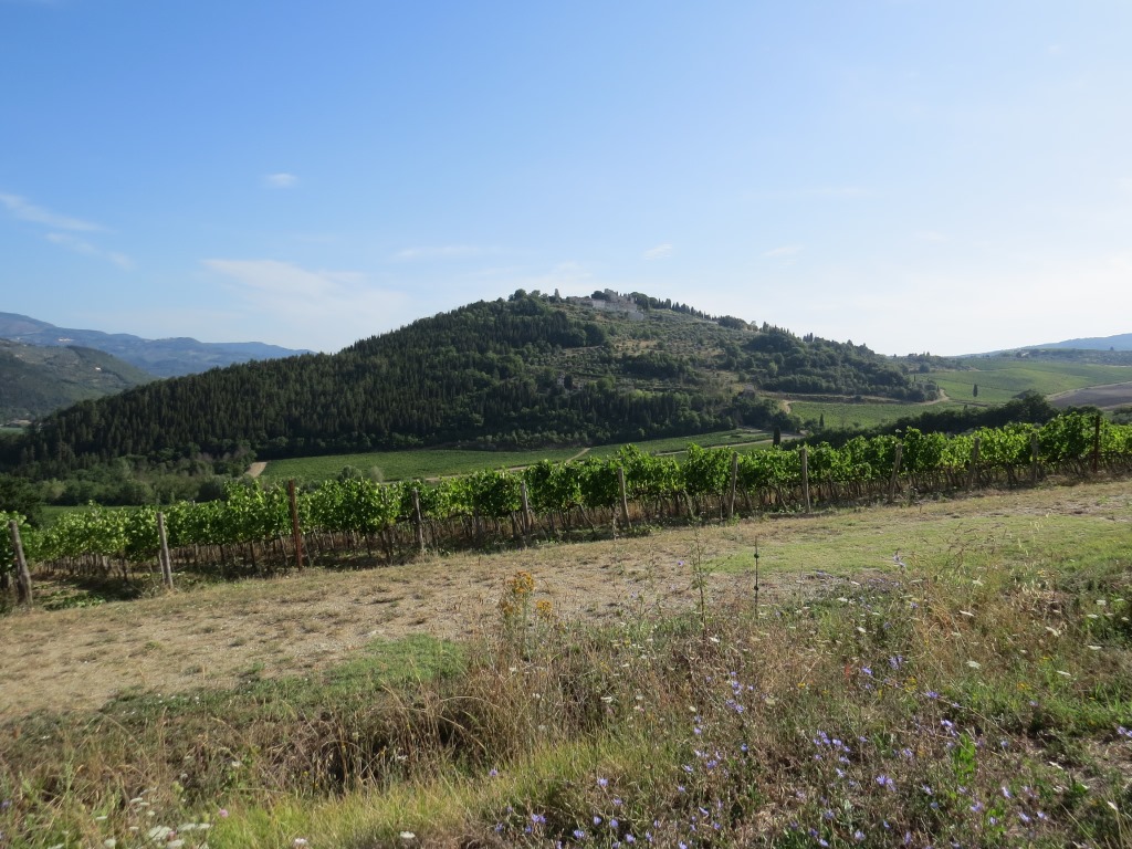 wir durchwandern nun das Weingebiet der Famillie Frescobaldi, die schon seit dem 13. Jhr. hier ansässig sind