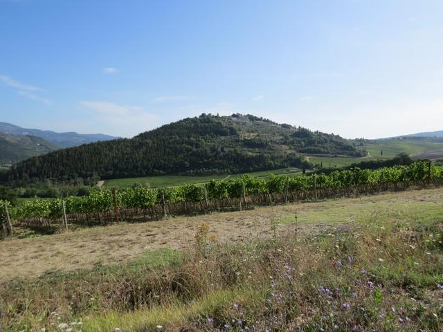 wir durchwandern nun das Weingebiet der Famillie Frescobaldi, die schon seit dem 13. Jhr. hier ansässig sind
