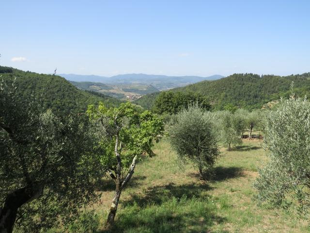 was für eine schöne Aussicht von hier oben