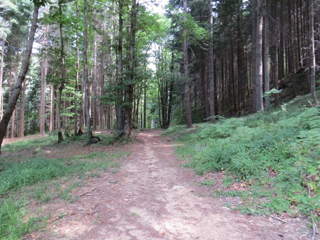 ...auf einem Forstweg zwar recht anstrengend...