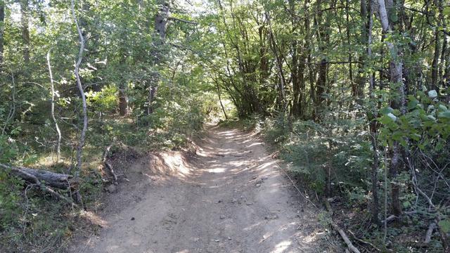 zum Glück führt der Weg heute meistens durch den Wald. Die Sonne brennt unerbittlich