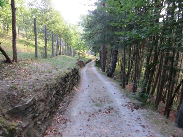 der Wanderweg führt zeitweise über Kieswege...