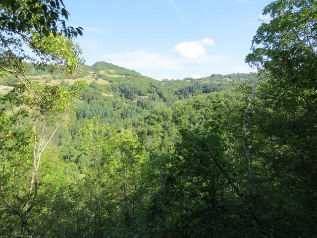 wir blicken Richtung Camaldoli. Wald soweit das Auge reicht