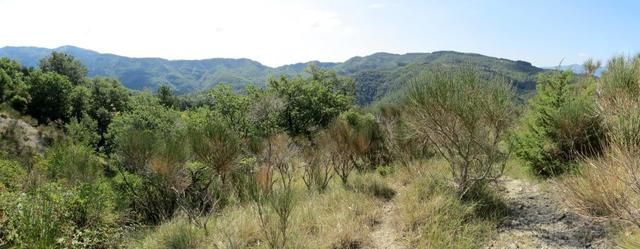 schönes Breitbildfoto aufgenommen auf dem Weg Richtung Croce Gaggi