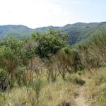 schönes Breitbildfoto aufgenommen auf dem Weg Richtung Croce Gaggi