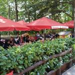 im Gartenrestaurant vom Albergo-Ristorante Camaldoli...