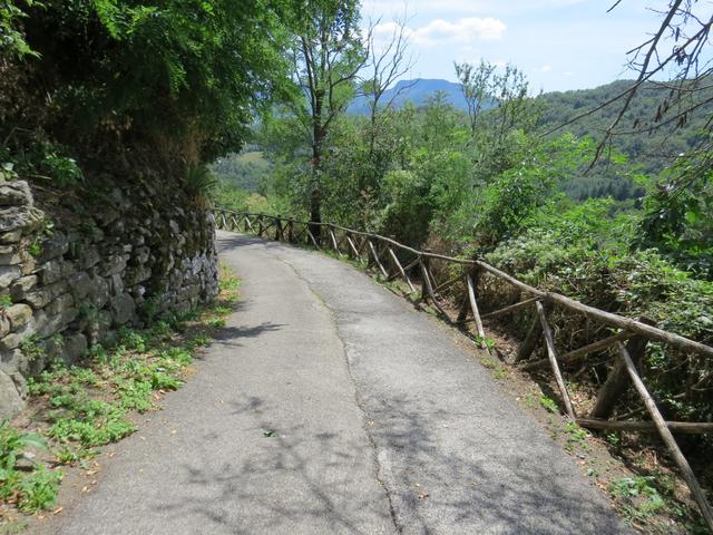 über eine Strasse wo praktisch keine Autos unterwegs sind, führt uns der Weg nun abwärts in das Val della Meta