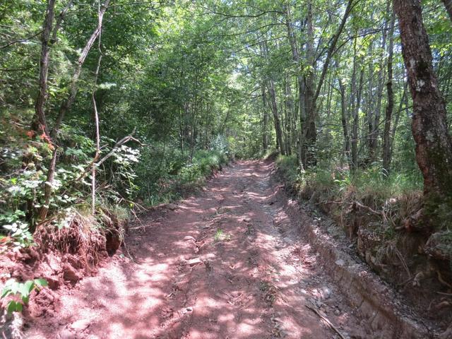 ...wo auf der anderen Talseite ein Weg, zerfurcht von Traktorspuren, wieder aufwärts führt