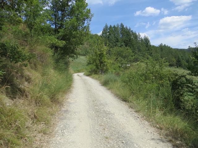 ...erreichen wir bei einer unglaublichen Hitze von weit über 30 Grad, die Kiesstrasse nach Biforco