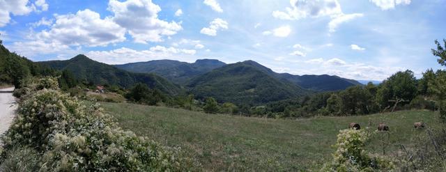 mit Blick auf das markante Profil des Berges von La Verna, wandern wir weiter Richtung Biforco