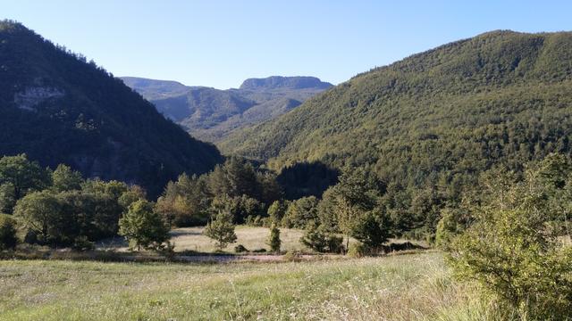 mit Blick auf in die Wälder des Monte Penna, also des Berges, auf dem das Kloster La Verna liegt, verlassen wir Biforco