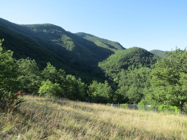 wir wandern weiterhin durch die Hügellandschaft des Casentino-Nationalpark