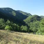 wir wandern weiterhin durch die Hügellandschaft des Casentino-Nationalpark