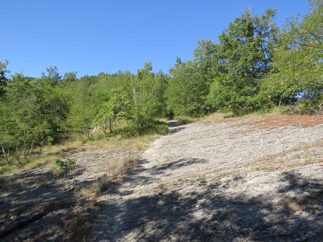 ...oder über Waldlichtungen steil aufwärts