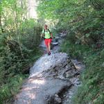 der Wanderweg führt über grosse Felsen