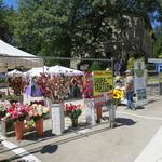 in Chiusi della Verna findet gerade der Trüffelmarkt statt