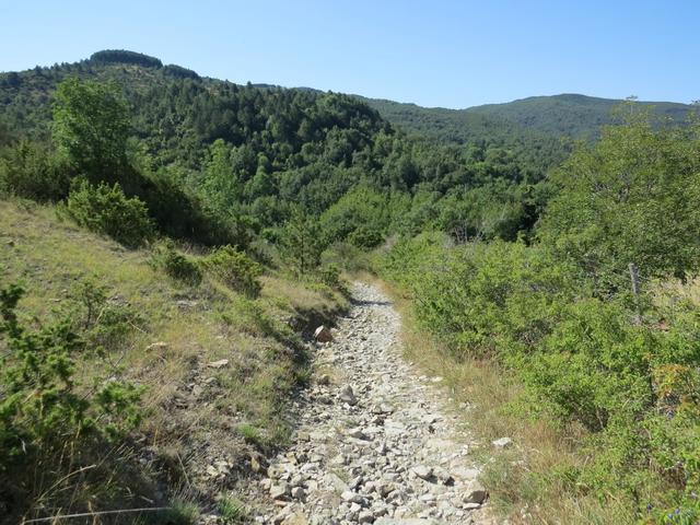 rasch liegt Chiusi della Verna hinter uns und wir wandern durch eine sehr schöne Landschaft