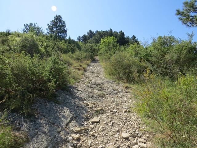 der steinige immer gut ersichtliche Wanderweg führt uns weiter aufwärts