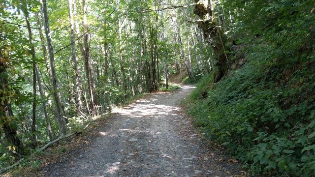 auch heute wandern wir durch dichten Wald, der uns ein bisschen von der glühenden Hitze verschont