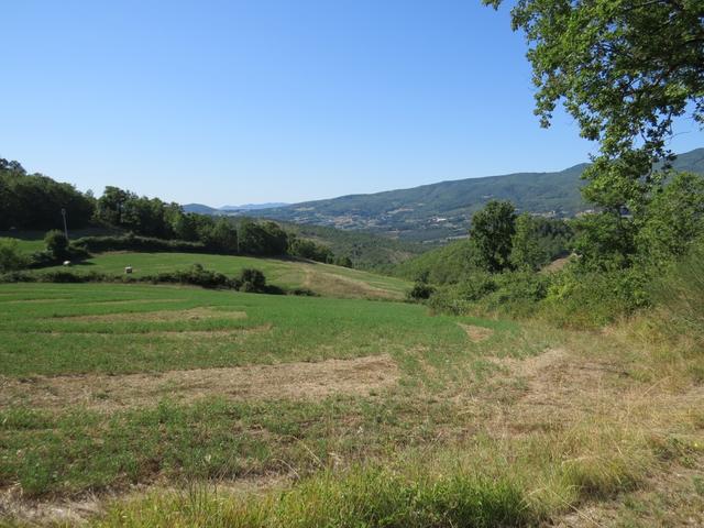 ...pilgern wir Aussichtsreich und sonnig durch ruhiges Ackerland