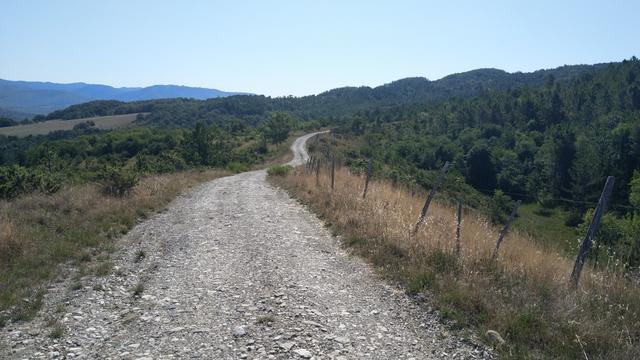 der Weg führt uns nun leicht aufwärts zum Monte Fungaia