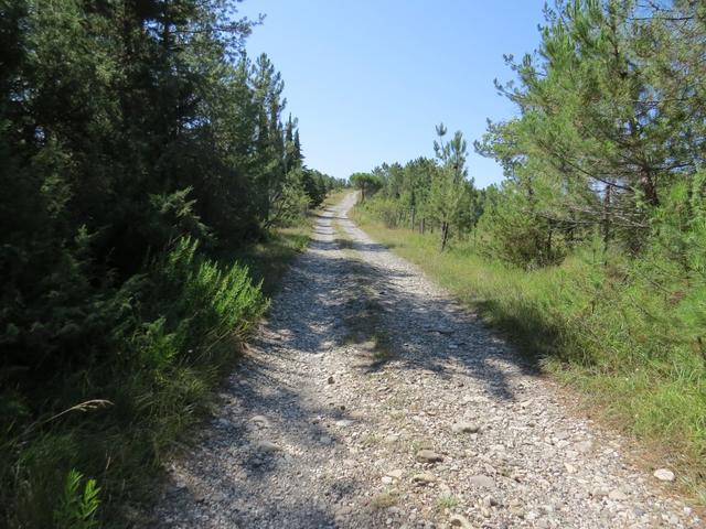 auch heute führt uns der Weg durch schöne Macchia