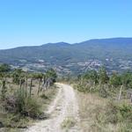 der Weg führt uns nun leicht abwärts in das Valle Alta Tiberina. Der Name sagt es, hier entspringt der Tiber