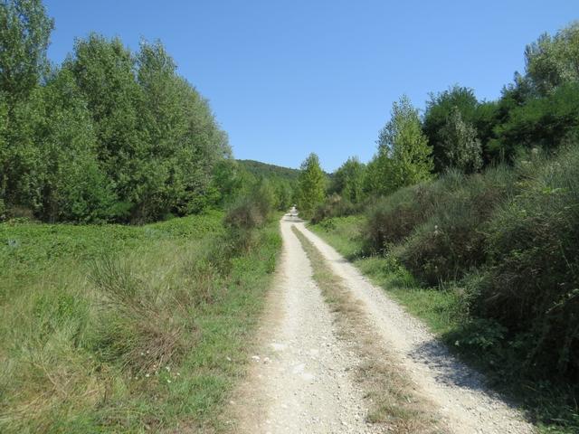 immer geradeaus flach, sonnig und staubig geht es dem Tiber entlang