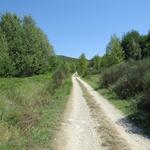 immer geradeaus flach, sonnig und staubig geht es dem Tiber entlang