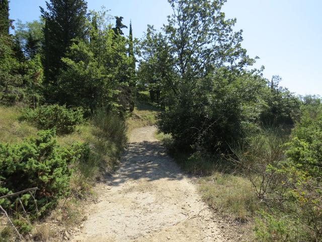 in angenehmer Steigung gewinnen wir auf einem Feldweg weiter an Höhe