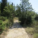 in angenehmer Steigung gewinnen wir auf einem Feldweg weiter an Höhe