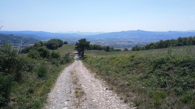 die beeindruckende Fernsicht begleitet uns nun auf dem gesamten Weg hinunter ins Tal