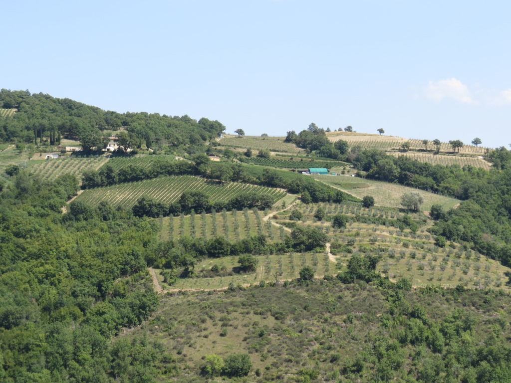 das Olivenöl von Umbrien ist bekannt, nun kommt auch sehr guter Wein in Umlauf