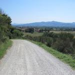 vor uns taucht Lama auf...