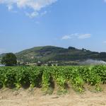 nach dieser wohltuenden Mittagsrast, laufen wir bei so einer Aussicht weiter