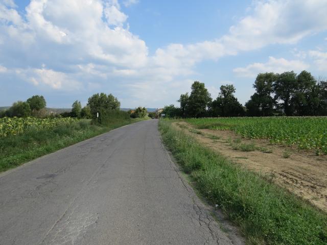 weiter auf einer verkehrsarmen Landstrasse bleibend...