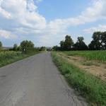 weiter auf einer verkehrsarmen Landstrasse bleibend...