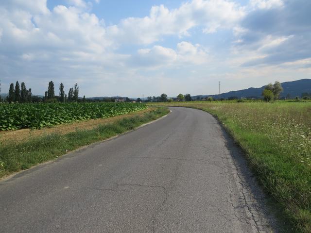 weiter auf der Landstrasse bleibend, geht es nun Richtung Tagesziel Città di Castello