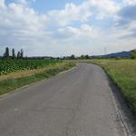 weiter auf der Landstrasse bleibend, geht es nun Richtung Tagesziel Città di Castello