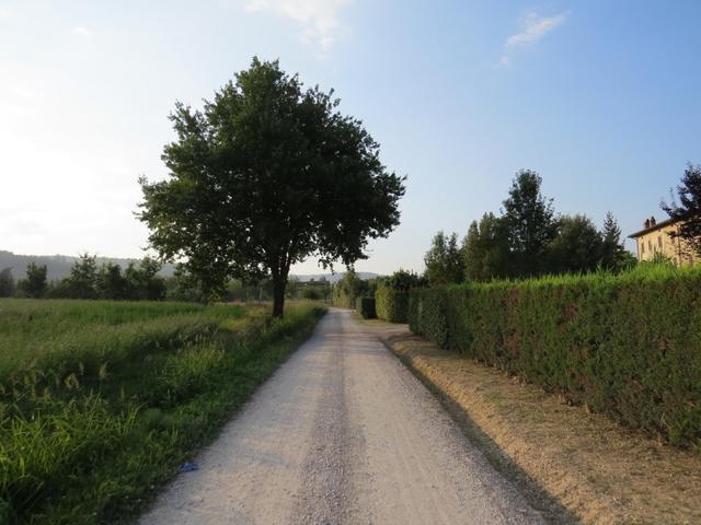 ...führt uns eine Schotterstrasse endültig aufs Land hinaus