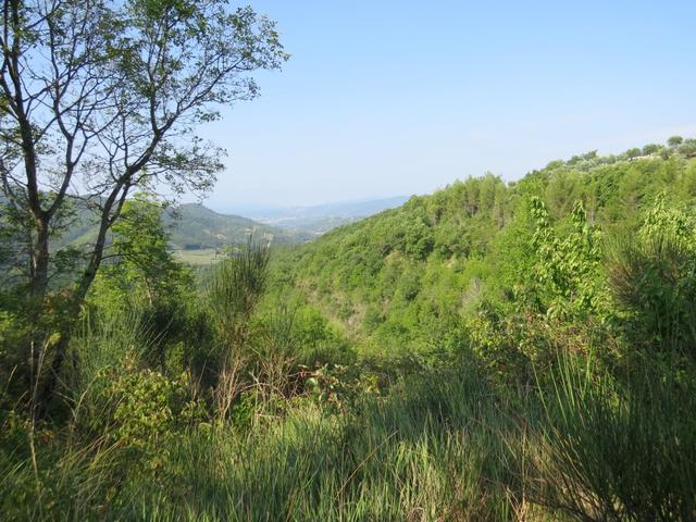 unser Weg führt uns durch wunderbare, fast parkartige Landschaft