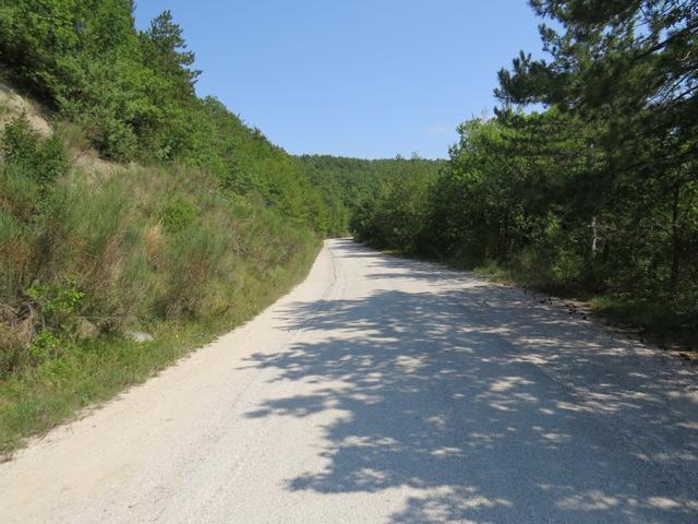 zeitweise laufen wir auf einer Asphaltstrasse, kein Auto aber weit und breit