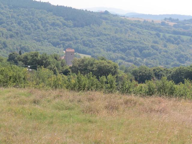 mitten in der Macchia erscheint die Ansiedlung Pieve dei Saddi