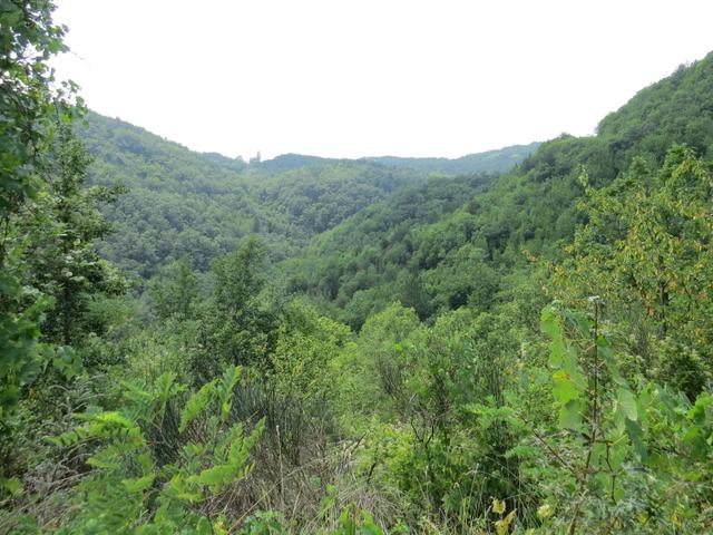 der Weg führt uns weiterhin durch einsame Täler und Wälder