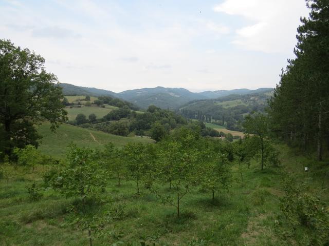 die Hauptfarbe bei dieser Etappe ist grün