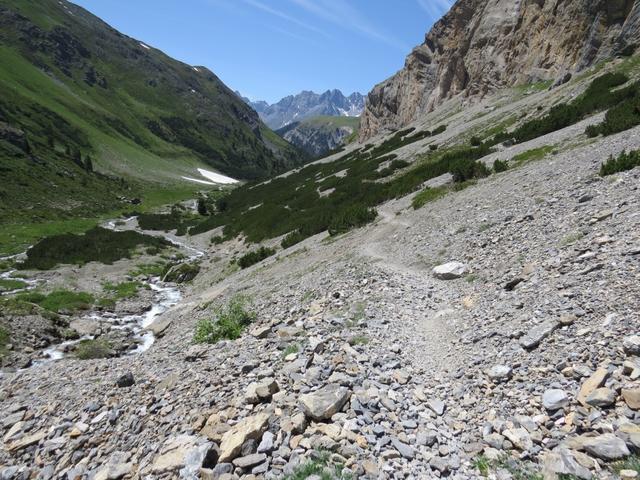 der Bergweg führt uns nach dieser Pause wieder steiler hinunter